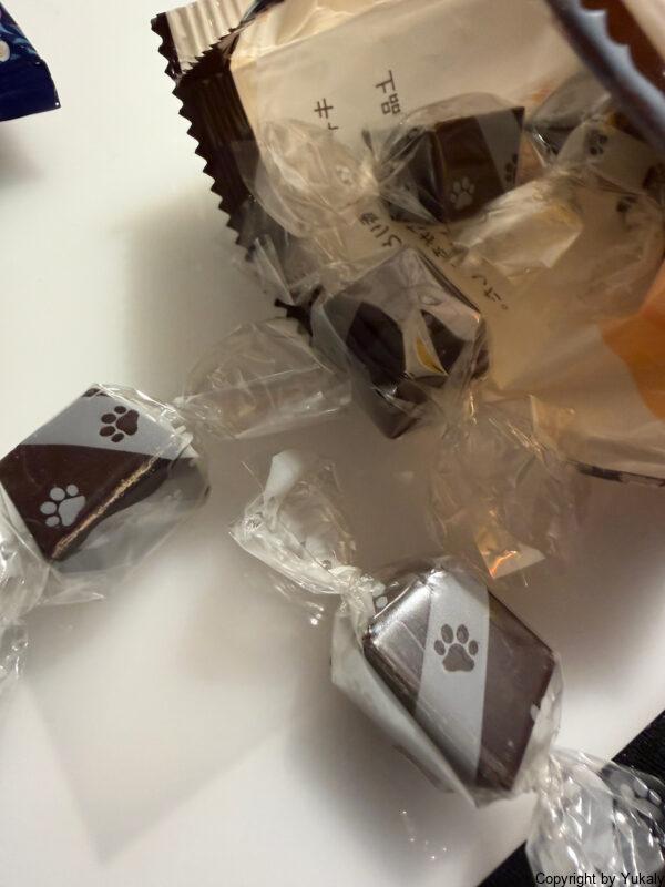 カルディ ネコの日バッグ2026 プレミアム トートバッグ
取り出した画像