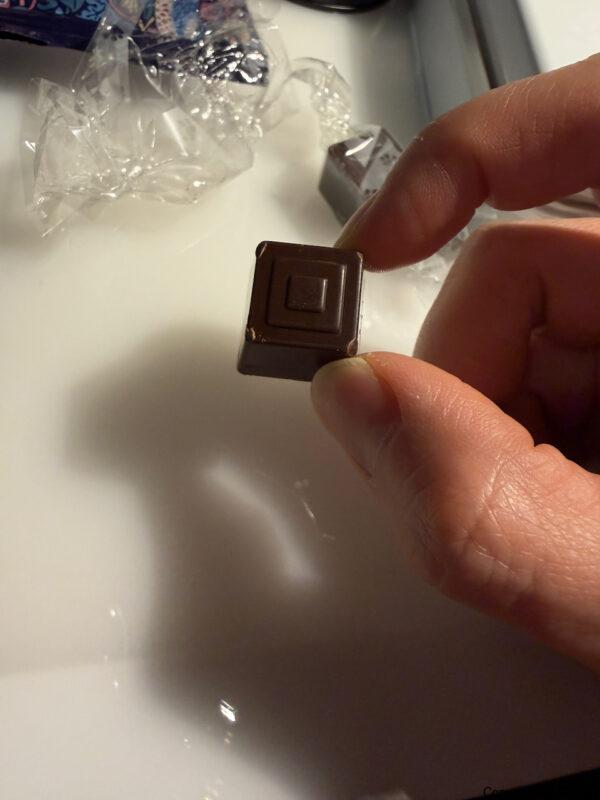 カルディ ネコの日バッグ2026 プレミアム トートバッグ
開けてみた。ダイスチョコ